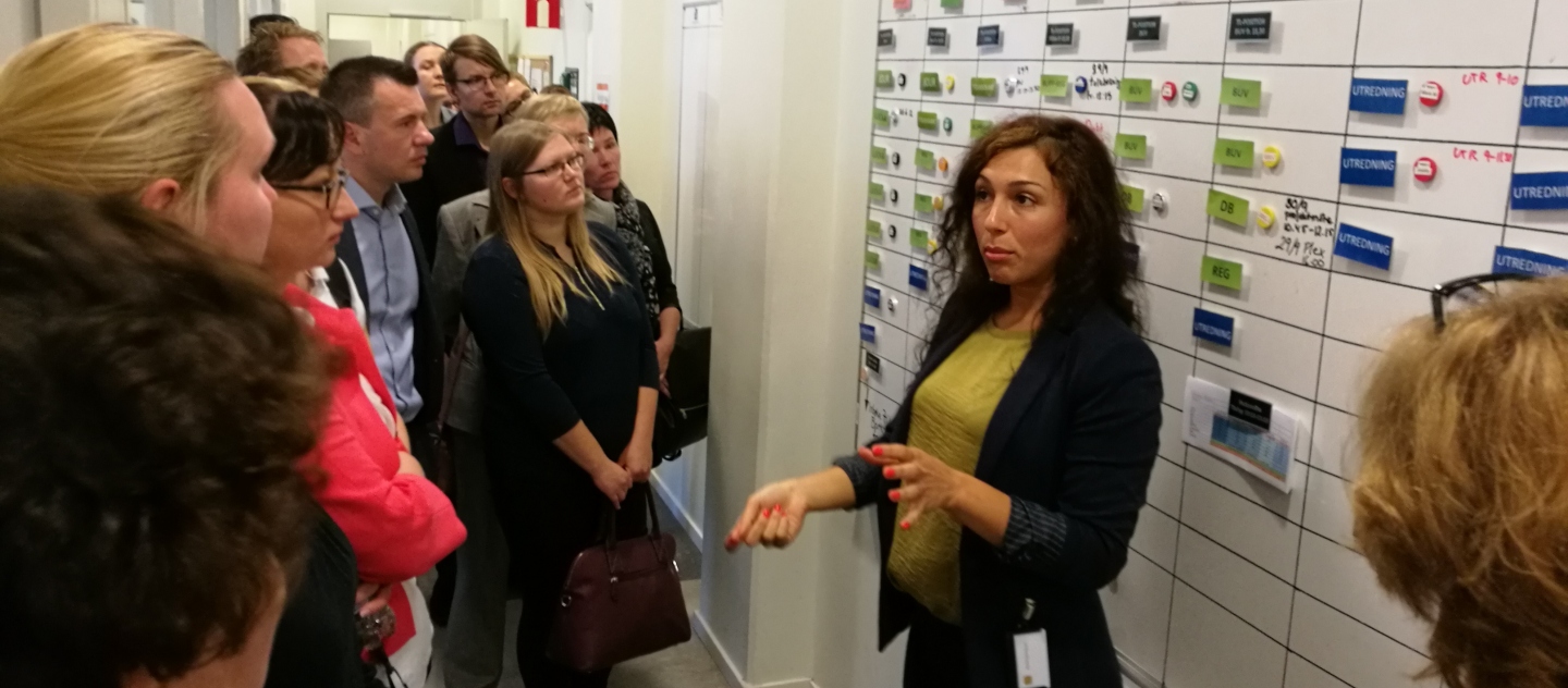 Staff from Swedish Migration Agency explain the quality initiative