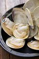 sake steamed japanese clams, hamaguri no sakamushi - PhotoDune Item for Sale