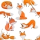 Seamless Pattern with Cute Fox