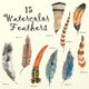 Watercolor Feathers Collection