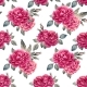 Watercolor Rose Seamless Pattern