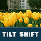 25 Tilt Shift Pro Lightroom Presets