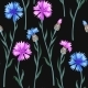 Seamless Pattern with Colorful Cornflowers