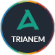 Trianem - Multipurpose Google Slides Template