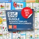 Bundle Business Infographics