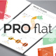 Pro Flat Infographic Brochure 10 (4 Versions)