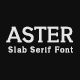 Aster Slab Serif Font Family