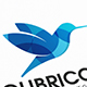 Colibri Bird Logo Design