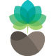 Nature Growth Logo