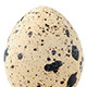 Isolated Quail Eggs Collection