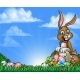 Easter Bunny and Eggs Background