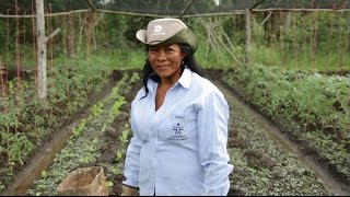 TSI a través de los ojos de la comunidad El Rodeo y Las Delicias, Meta