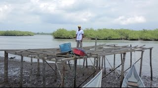 TSI a través de los ojos de la comunidad Familias en acción - Tumaco