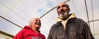 Greenhouse support helps displaced families in Syria