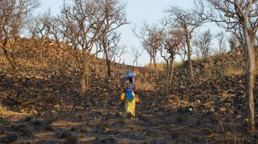 Mozambique: Desplazamientos causados por la industria minera obstaculiza el acceso a comida y agua