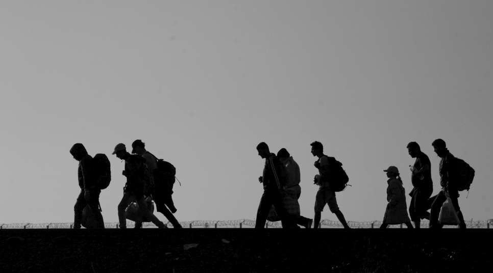 Refugees and migrants cross the border between Serbia and Hungary.