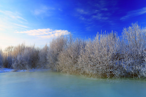 A snowy landscape of the scenic area of the Linbing River at the Greater Khingan volcanic mountain range in northern China's Inner Mongolia Autonomous Region, Jan. 17, 2017.