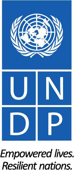 UNDP logo