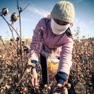 Uzbekistán: Trabajo forzoso vinculado al Banco Mundial