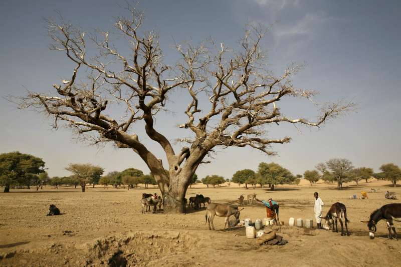 Newly arrived refugees from Sudan’s Darfur region collect water in a wadi (riverbed) near Seneit in the Birak area of eastern Chad. 