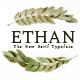 Ethan The New Serif Typeface