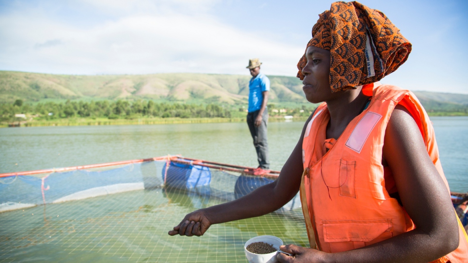 Janine, une réfugiée congolaise, jette des granulés pour nourrir les tilapias de l'exploitation piscicole du Lac Rwamunga, dans le district ougandais d'Isingiro. 