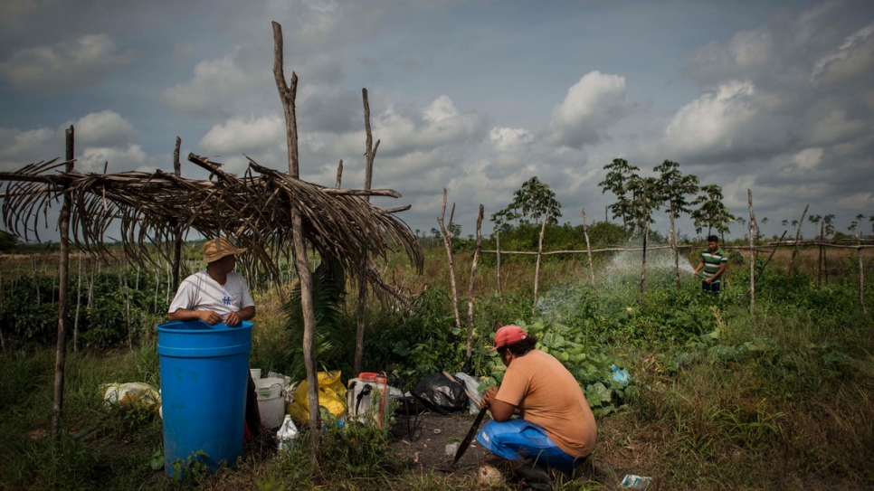 Juan Barrera* (left) fled a civil war in El Salvador in the 1980s and found sanctuary in Belize. Now he helps the Menendez* family, giving jobs to some of them in his vegetable fields.

* Names changed for protection reasons