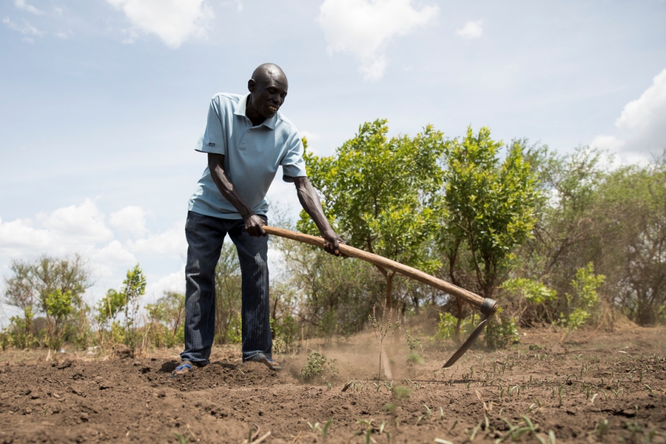 L'agriculteur ougandais Yahaya Onduga est le chef du comité local à Bidibidi, qui sert de liaison entre la communauté d'accueil et les réfugiés sud-soudanais. Yahaya a lui-même été réfugié au Soudan (aujourd'hui Soudan du Sud) en 1982, après avoir fui les combats qui déchiraient l'Ouganda. 