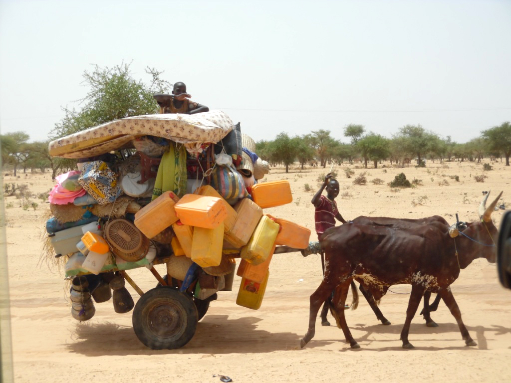 Nigerian refugee children arrive in Niger after fleeing attacks on the city of Damassak in northeastern Nigeria. They had time to take some belongings and food for some days but will soon need assistance. © IRC