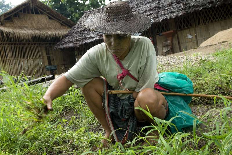 Ka Du Lar pulls weeds from a field near Mae La Refugee Camp where he grows vegetables.
