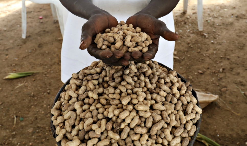 Anna Ogud Okwier displays a handful of groundnuts she grows on her plot of land in Gorom settlement.