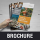 Multipurpose Brochure Catalog Design v4