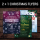 2 + 1 Christmas Flyers