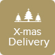 X-mas Delivery - Christmas Delivery Offer Email Template PSD