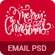 Christmas Newsletters