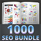 Seo Business Bundle Infographic Elements