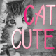 Cat Cute