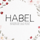 Habel Handmade Duo Font