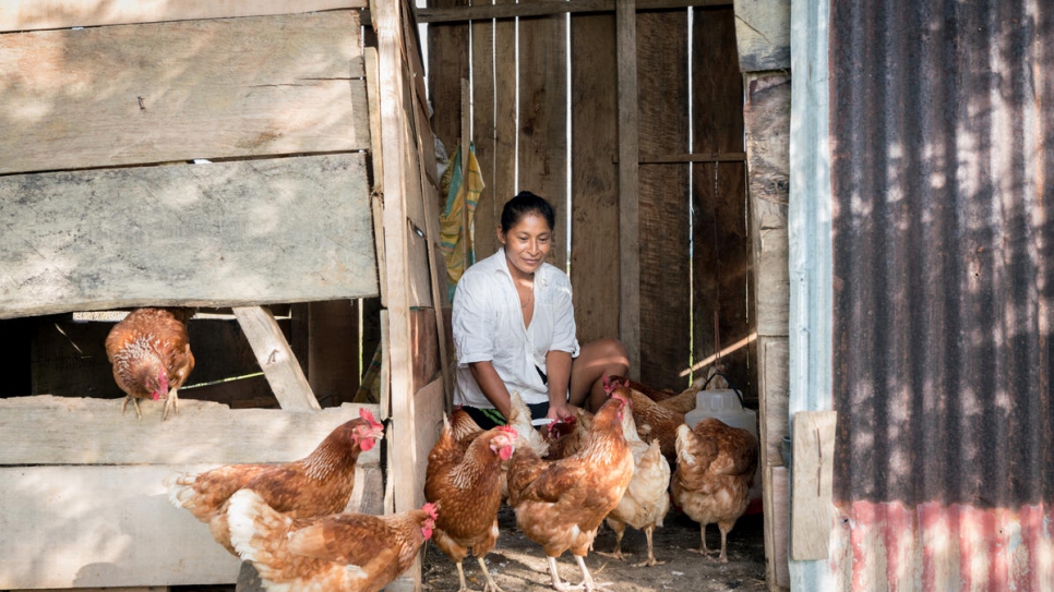 Luz Mari Bisbicus Pai, 41 ans, nourrit ses poulets dans un petit enclos à l'extérieur de sa maison. Les oeufs pondus chaque jour aident à nourrir sa famille et lui procurent un petit revenu grâce à leur vente. 