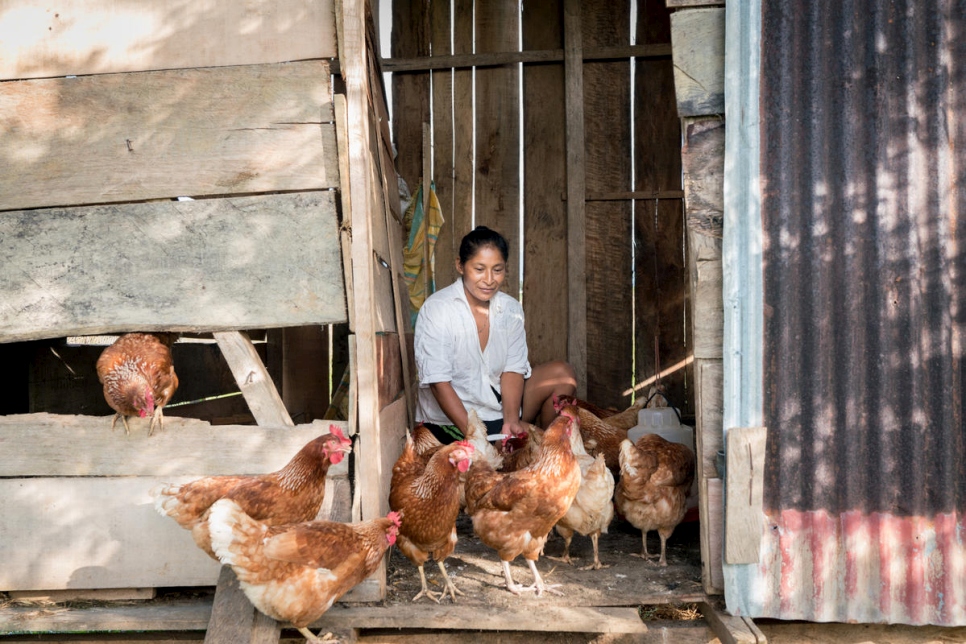 لوس ماري بيسبيكوس باي، 41 عاماً، تطعم دجاجاتها في زريبة صغيرة خارج منزلها. يؤمن البيض الذي يوضع يومياً الغذاء لعائلتها ويوفر دخلاً صغيراً من خلال بيعه.