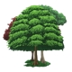 Tree Asset Cartoon