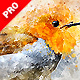 Perfectum 2 - Watercolor Artist Photoshop Action - GraphicRiver Item for Sale