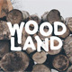 Woodland Font - GraphicRiver Item for Sale