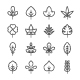 Set Line Icons of Leaf