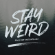 Stay Weird - Brush Font + Swashes - GraphicRiver Item for Sale