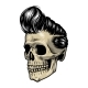 Vintage Colorful Rock Singer Skull Concept