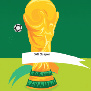 FIFA WORLD CUP SWEEPSTAKES
