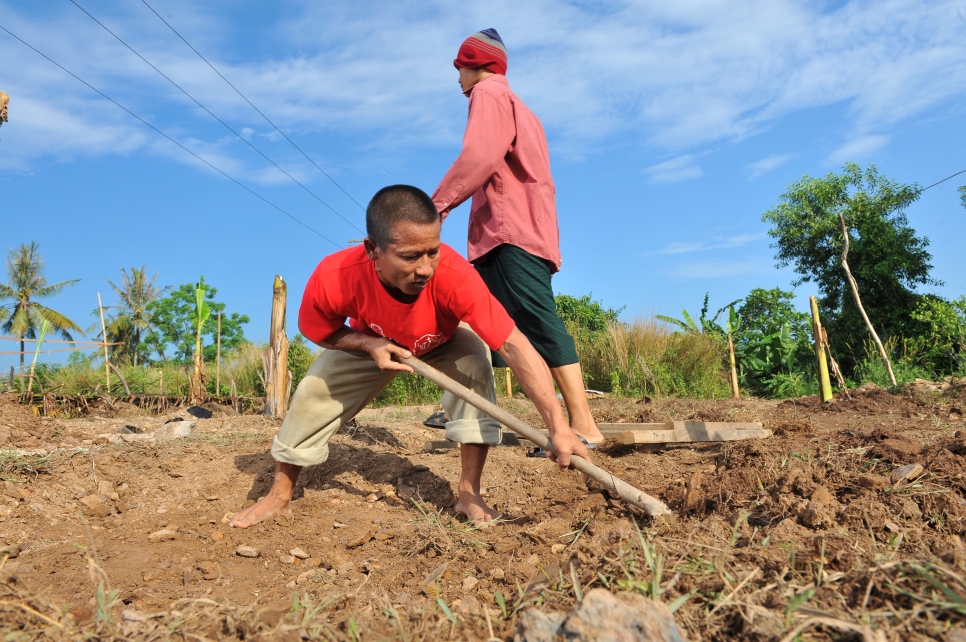 Social Protection Fund