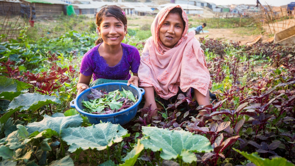 Twelve-year-old Rizwana Begum and her mother Laila pick lettuce shoots from their vegetable garden in Kutupalong refugee settlement.