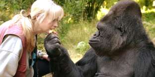 Koko et l’éthologue qui l’a élevée, Penny Patterson.